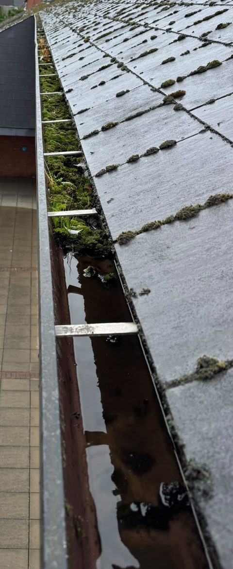 A little moss starting in a gutter that is still mostly open