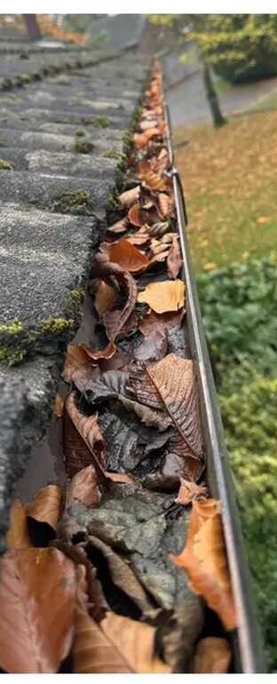 House gutter packed with autumn leaves before vacuuming